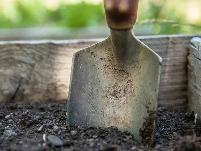 Spade in a Garden plot